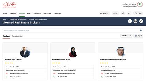 How many professional real estate agents are there in Dubai - Dubai Immo