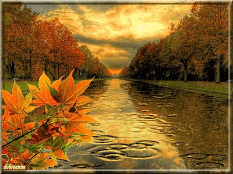 pin  winnie  pooh  glorious autumn autumn scenes unique