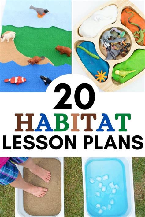 Habitat Lesson For Kindergarten