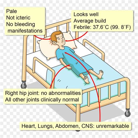 A Neutrophil Count Of 1,510/mm3, A Hb Level Of Clipart (#877077) - PikPng