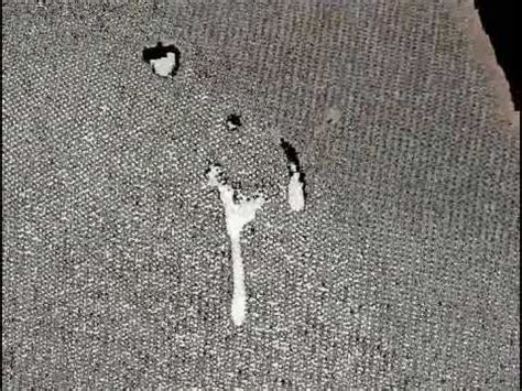 Gay Bareback Youtube