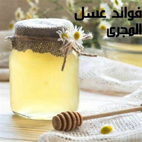 فوائد عسل المجرى؛ 4 مزايا طبية فنجان