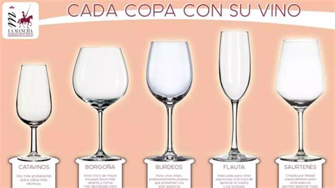 Todo Lo Que Necesitas Saber Para Disfrutar De Una Copa De Vino Perfecta