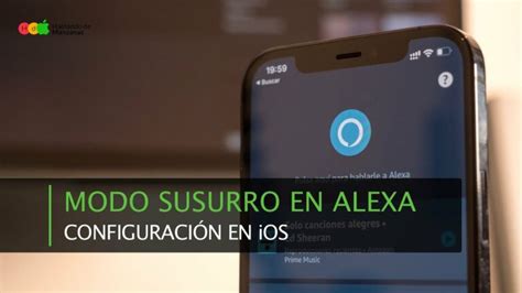 Como Activar El Modo Grosero De Alexa Actualizado Noviembre