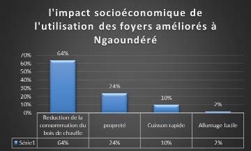 Memoire Online Enjeux Sociaux Conomiques Et Cologiques De L