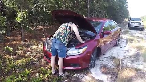 Free Bear Orgy Bareback Gay Porn Videos Xhamster