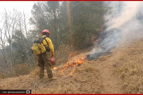 Controlado Incendio Forestal En Tetela De Ocampo Medio Ambiente