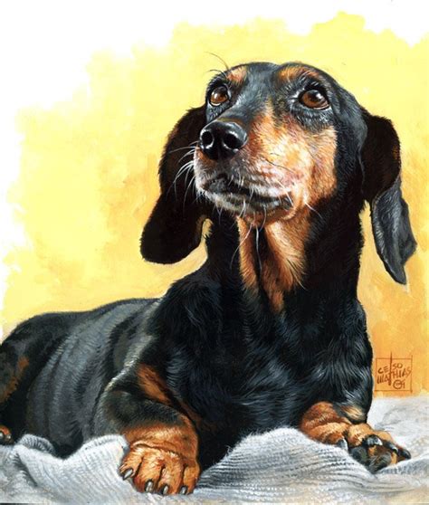 Такса живопись (49 фото)