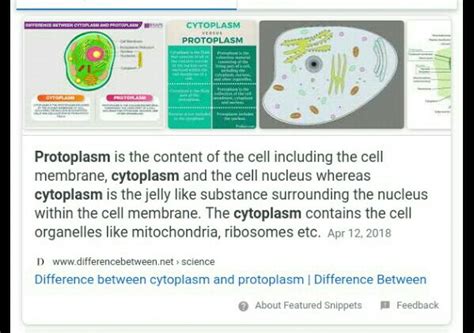 differences between cytoplasm and protoplasm - Science - Cell - Structure and Functions ...