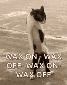 Wax On Wax Off GIF - WaxOnWaxOff Wax KarateKid - Discover & Share GIFs