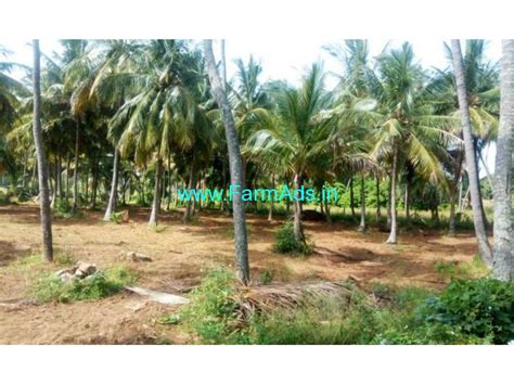 Acres Coconut Farm Land For Sale At Shooloagiri Kms From