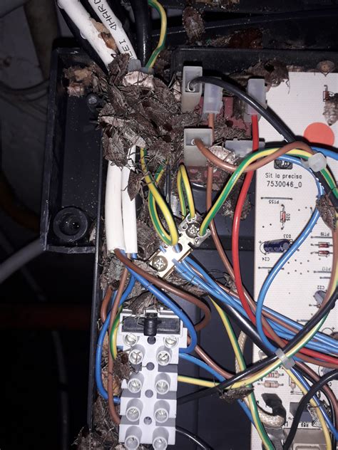 Baxi Main 1.24 gázkazán érdekes hibajelenségek. | BAXI-Westen ...