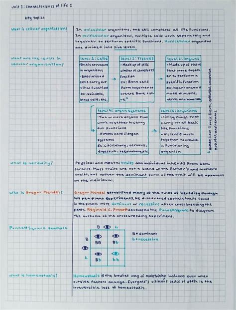 Color Coding Notes 101 by aca-demia | Color coding notes, School organization notes, Study notes