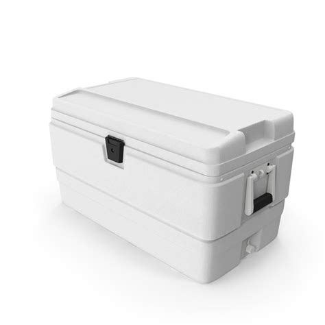 Clean Ice Chest Objeto En 3d 2338944965 Shutterstock