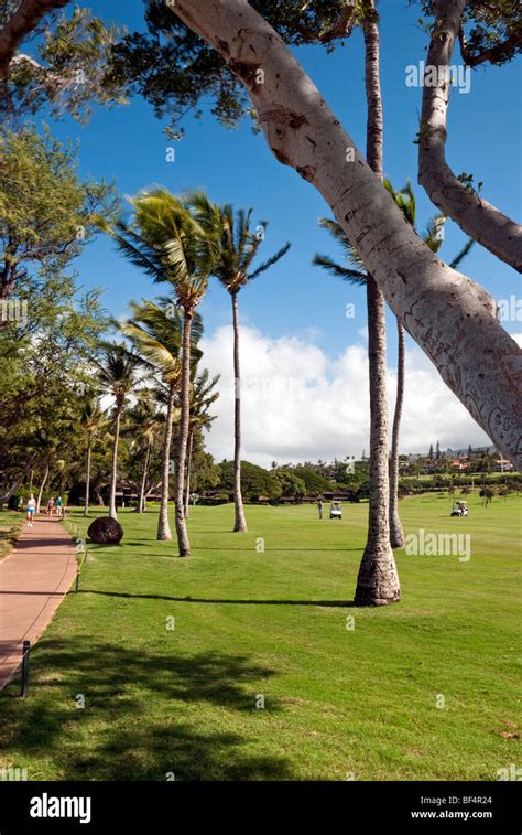 Royal Kaanapali Golf Course With Palm Trees And Beach Path Stock Photo