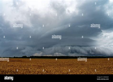 Storm Clouds Over Field Tornadic Supercell Extreme Weather Dangerous