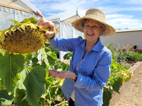 nanette recalls  love  teaching