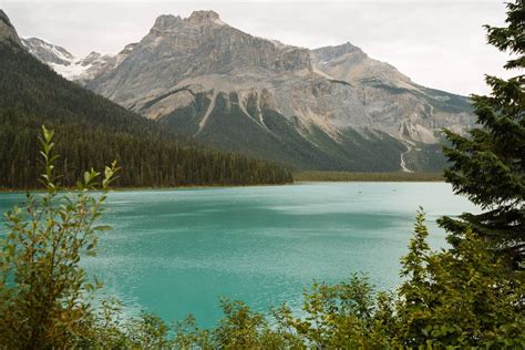 Emerald Lake Lodge elopement. | Emerald Lake