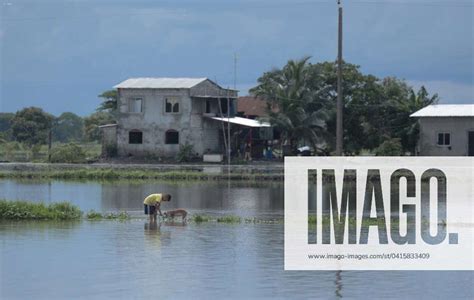 Gye Flooding Rural Sector Daule Guayas Tuesday February 20 2024 The