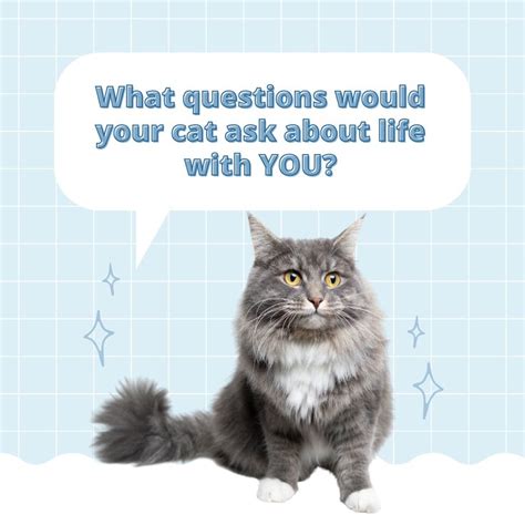 National Answer Your Cat S Questions Day