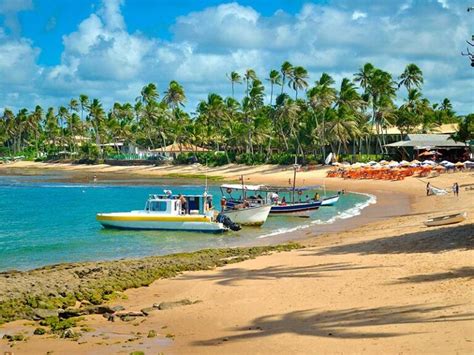 Praia Do Forte Guia Completo Dicas E Lugares Para Comer