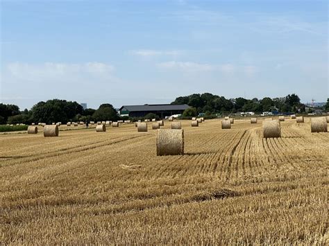 field harvest summer  photo  pixabay pixabay