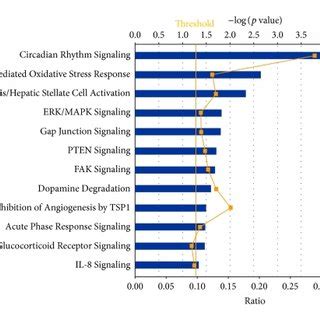 Top pathways identified by Ingenuity Pathway Analysis. (a) Top ...