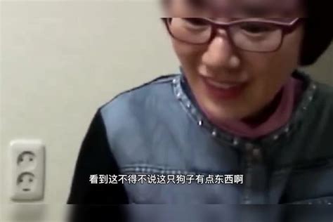 超高智商的小狗竟能听懂人话还能帮助你拿东西 人话 小狗 东西