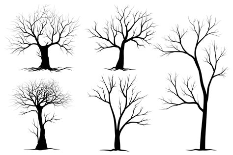 Black Branch Tree Or Naked Trees Silhouettes Set Hand Drawn Isolated Illustrations 23633729