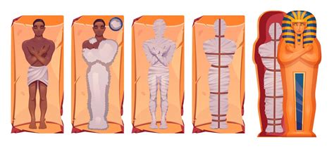 Cartoon set of mummification process steps 21957127 Vector Art at Vecteezy