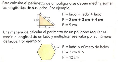 Área Y Perímetro Qué Son Y Cómo Se Calculan Con Ejercicios Toda