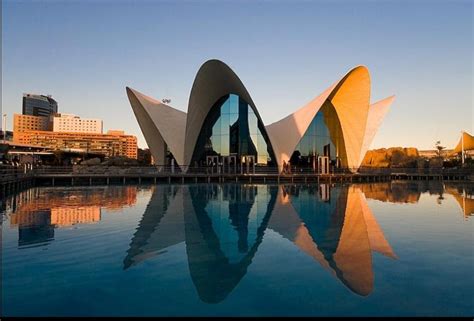 Ramblings: Santiago Calatrava