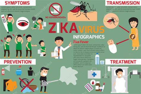 Zika Virus Infographic Elements Transmission Prevention Stock