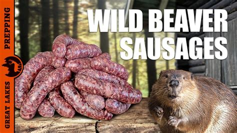 Beaver Brats Making Sausage From Wild Trapped Beaver Meat Beer