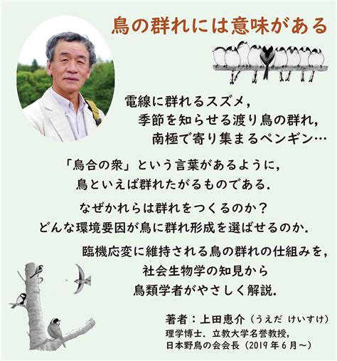 新版 鳥はなぜ集まる？（科学のとびら65） 群れの行動生態学 Hobbys World｜野鳥撮影やバードウォッチングの専門店