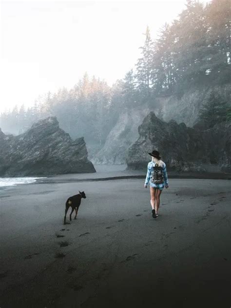 Incredible Things To See Do Along The Oregon Coast Cover Image Fun