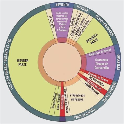 Infografía El Año Litúrgico Católico Una Guía Simple Catholic Link