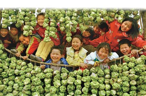 Fuling: a Magical City | ichongqing
