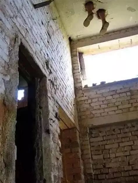 Aksi Kuli Bangunan Terlalu Semangat Bekerja Sampai Tak Sadar Terjebak Ini Kocak Hot Liputan