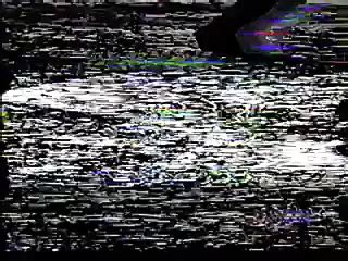 Free Japanese Vintage Gay Movie Porn Videos XHamster