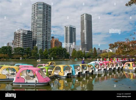 Pedalos Lined Up At Ueno Park Tokyo Japan Stock Photo Alamy