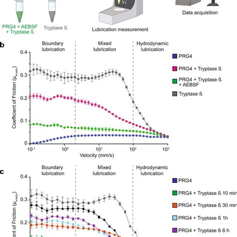 investigation   lubrication  prg  tryptase  processed