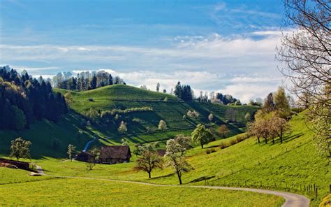 Wallpaper Trees Landscape Hill Nature Grass Field Hills Valley