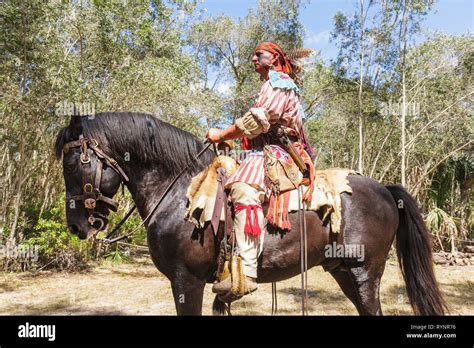Indian War Paint Horse