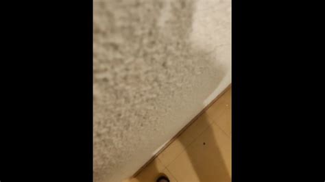 Propriétaire Pornhub Gay