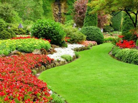 discovery landscaping