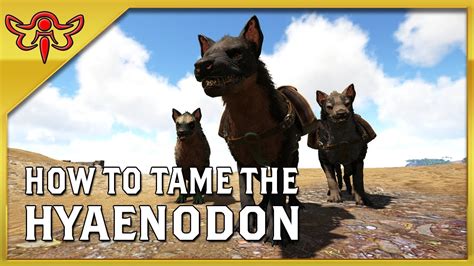 Ark Survival Evolved How To Tame The Hyaenodon Youtube