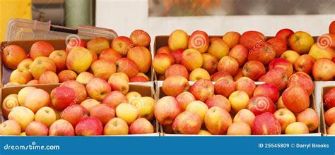 Boxes Of Apples Stock Image Image Of Sell Apples Ripe 25545809