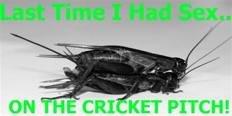 Last Time I Had Sex On The Cricket Pitch