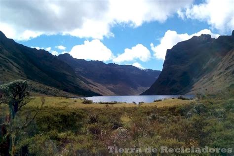 Región Andina Características Flora Y Fauna Descubre La Riqueza